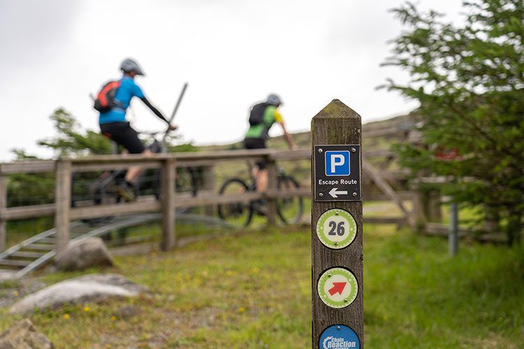 Red-Route-Rostrevor-Red-MTB-Bike-Mourne Three men enjoying afternoon tea at turnip cottage in the Mourne Mountains