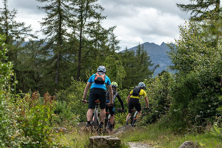 mountain bike trail castlewellan forest park