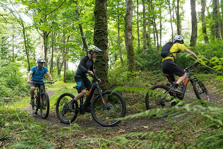 mountain bikers castlewellan forest park