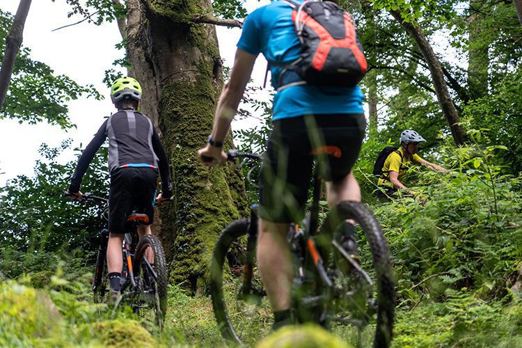 three mountain bikers on forest trail in castlewellan forest park