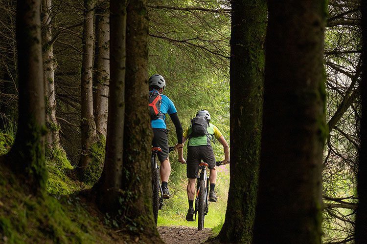 Rostrevor Red MTB Trail